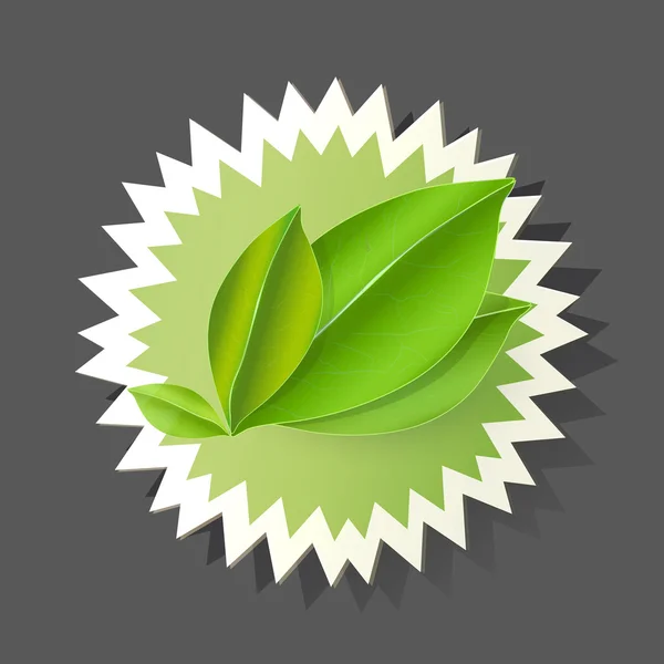 Etiqueta con hoja. Diseño de vectores de productos ecológicos . — Vector de stock