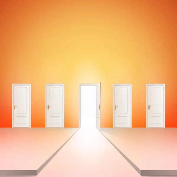 birden çok Kapılı Oda. vektör tasarımı.