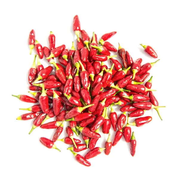 Červené chilli izolované pozadí — Stock fotografie