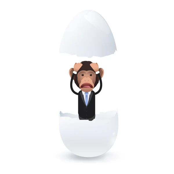 Business monkey inside an egg over white background, Vector design — Stock Vector