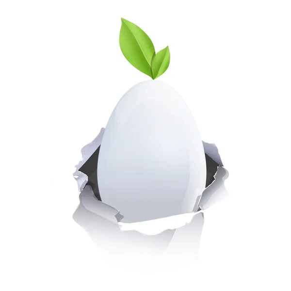 Huevo blanco con hoja dentro de papel hueco — Vector de stock
