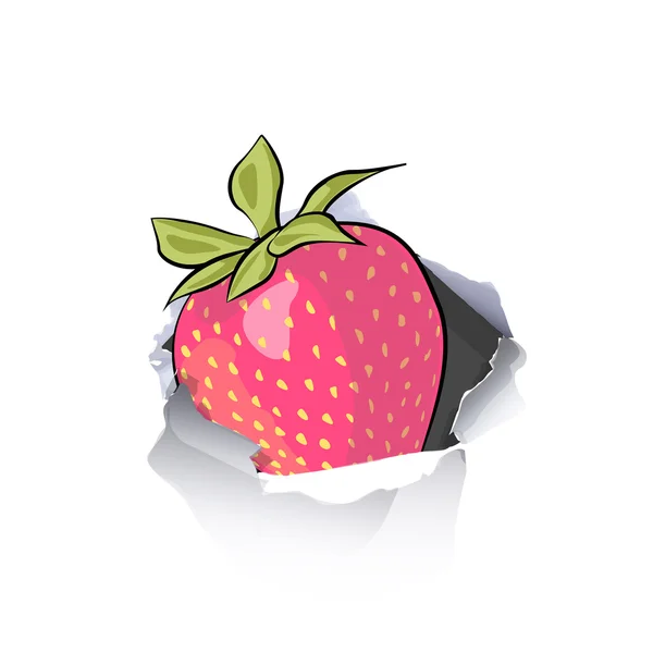 Φράουλα μέσα τρύπα χαρτί πάνω από το λευκό φόντο — Διανυσματικό Αρχείο