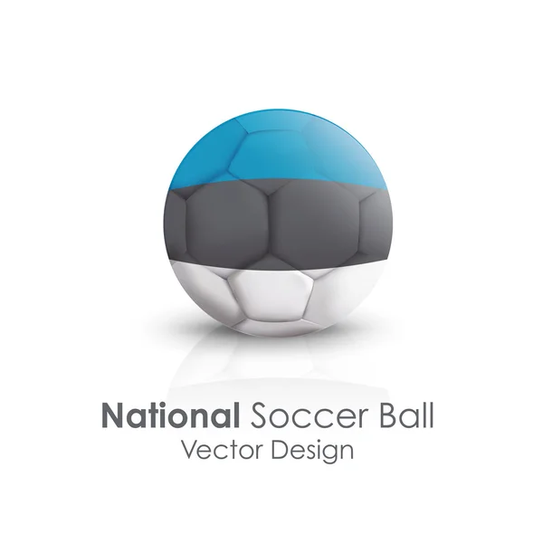 Ballon de football d'Estonie sur fond blanc — Image vectorielle