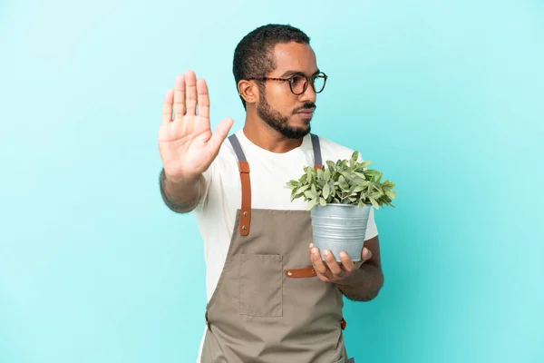 Gärtner Lateinischen Mann Hält Eine Pflanze Isoliert Auf Blauem Hintergrund — Stockfoto