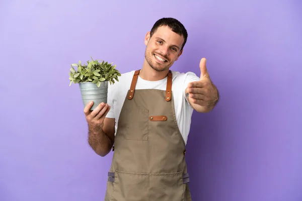 Brasileiro Jardineiro Homem Segurando Uma Planta Sobre Isolado Roxo Fundo — Fotografia de Stock