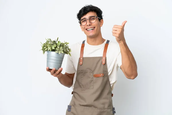 Jardinier Homme Argentin Tenant Une Plante Isolée Sur Fond Blanc — Photo