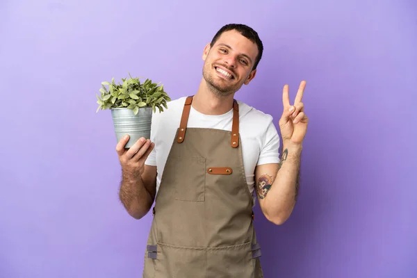 Braziliaanse Tuinman Met Een Plant Geïsoleerde Paarse Achtergrond Glimlachend Met — Stockfoto