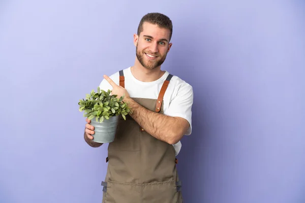 Giardiniere Uomo Caucasico Possesso Una Pianta Isolata Sfondo Giallo Che — Foto Stock