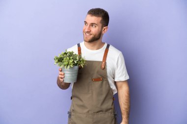 Bahçıvan beyaz adam sarı arka planda izole edilmiş bir bitki tutuyor. Yan tarafa bakıyor ve gülümsüyor.
