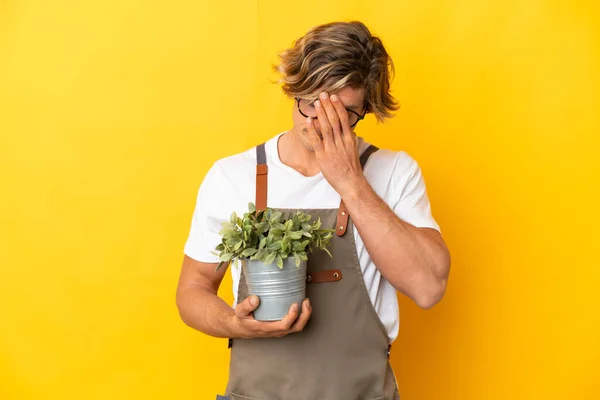 Κηπουρός Ξανθός Άνδρας Κρατώντας Ένα Φυτό Απομονωμένο Κίτρινο Φόντο Κουρασμένη — Φωτογραφία Αρχείου