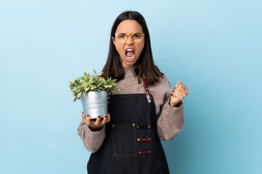 Genç, esmer, melez bir kadın, kötü bir durumdan dolayı hayal kırıklığına uğramış, mavi arka planda bir bitki tutuyor..