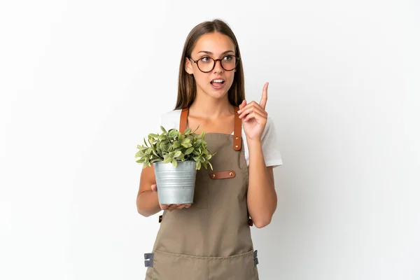 Ragazza Giardiniere Che Tiene Una Pianta Sfondo Bianco Isolato Pensando — Foto Stock