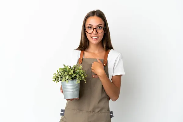 Tuinier Meisje Met Een Plant Geïsoleerde Witte Achtergrond Met Verrassing — Stockfoto