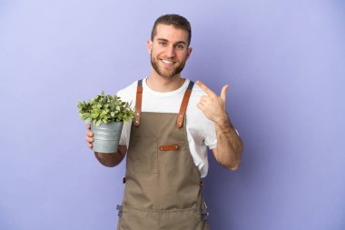 Bahçıvan Kafkasyalı bir adam sarı arka planda izole edilmiş bir bitki tutuyor ve baş parmak işareti yapıyor.