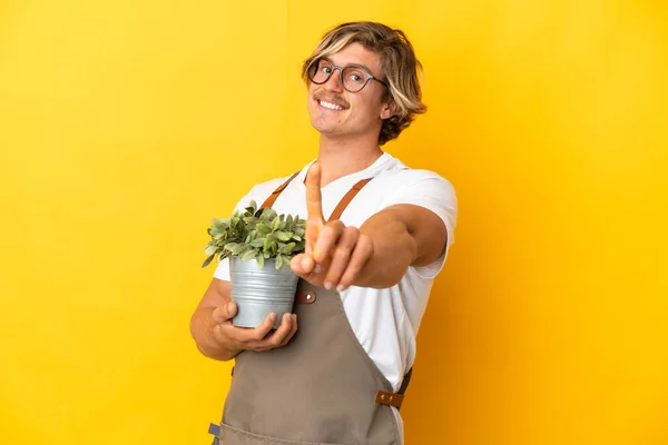 Trädgårdsmästare Blond Man Håller Växt Isolerad Gul Bakgrund Visar Och — Stockfoto