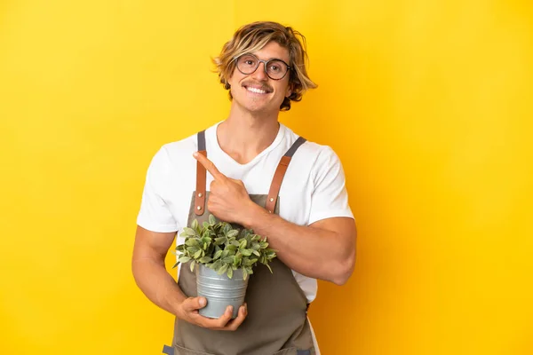 Trädgårdsmästare Blond Man Håller Växt Isolerad Gul Bakgrund Pekar Sidan — Stockfoto