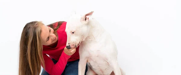 Jeune Chien Taureau Terrier Sur Fond Isolé — Photo