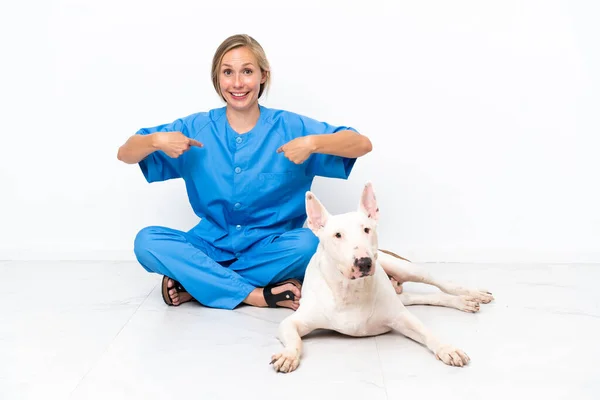 Νεαρός Κτηνίατρος Αγγλικά Γυναίκα Κάθεται Στο Πάτωμα Σκυλί Έκπληξη Έκφραση — Φωτογραφία Αρχείου