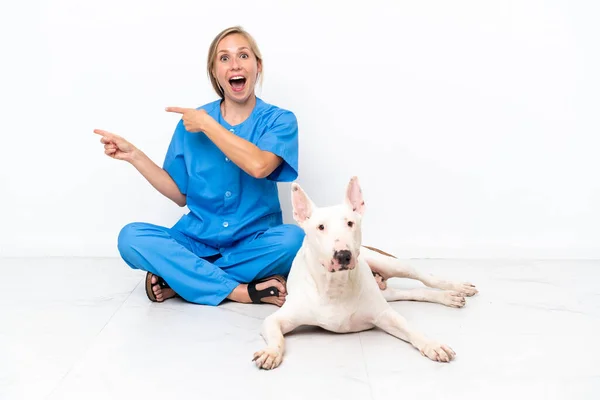 若い獣医英語の女性が床の上に犬と一緒に座って驚きと指摘側 — ストック写真