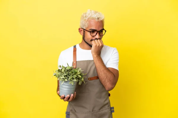 Νεαρός Κολομβιανός Που Κρατάει Φυτό Απομονωμένο Κίτρινο Φόντο Έχοντας Αμφιβολίες — Φωτογραφία Αρχείου