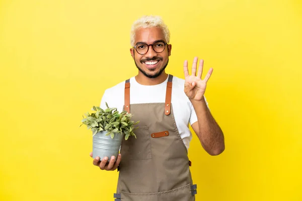 Νεαρός Κολομβιανός Κρατάει Ένα Φυτό Απομονωμένο Κίτρινο Φόντο Ευτυχισμένο Και — Φωτογραφία Αρχείου