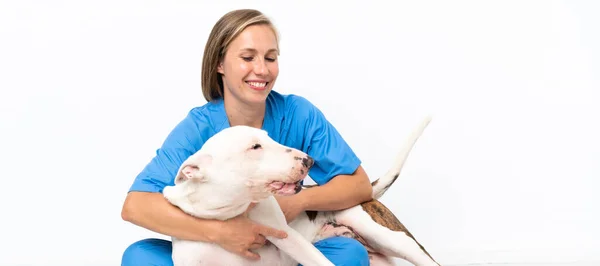 Veterinário Jovem Mulher Inglesa Com Cão — Fotografia de Stock