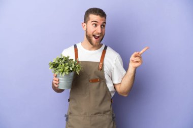 Bahçıvan beyaz adam sarı arka planda bir bitki tutuyor. Çözümü bulmak için parmağını kaldırıyor.