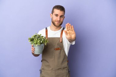 Bahçıvan Kafkasyalı bir adam sarı arka planda izole edilmiş bir bitki tutuyor.