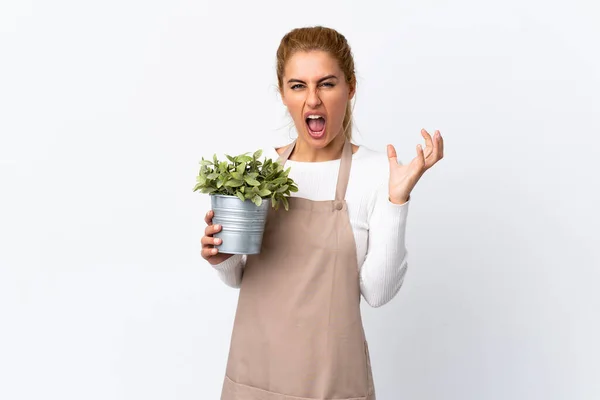 Jong Blond Tuinman Vrouw Meisje Houden Een Plant Geïsoleerde Wit — Stockfoto