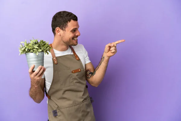 Brazilian Gardener Man Holding Plant Isolated Purple Background Pointing Finger — 스톡 사진