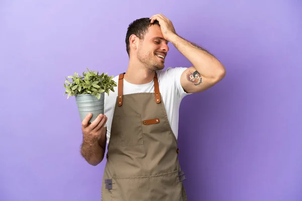 Brazilian Gardener Man Holding Plant Isolated Purple Background Has Realized — стокове фото