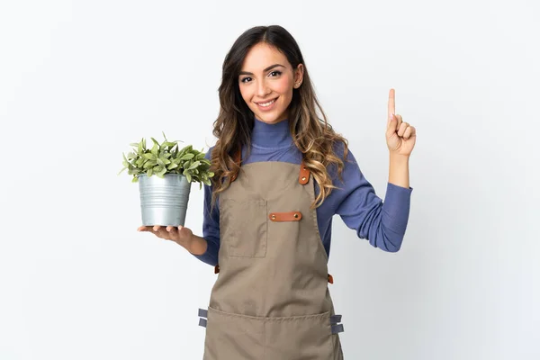 Niña Jardinero Sosteniendo Una Planta Aislada Sobre Fondo Blanco Señalando —  Fotos de Stock