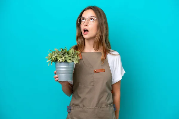 Joven Jardinero Caucásico Mujer Sosteniendo Una Planta Aislada Sobre Fondo — Foto de Stock