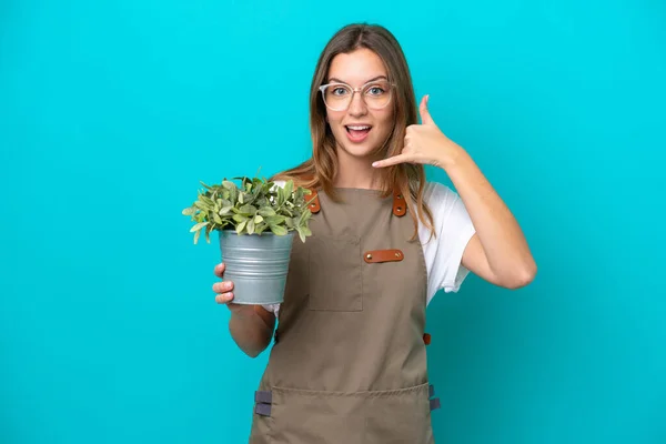 Een Jonge Kaukasische Tuinvrouw Die Een Plant Een Blauwe Achtergrond — Stockfoto