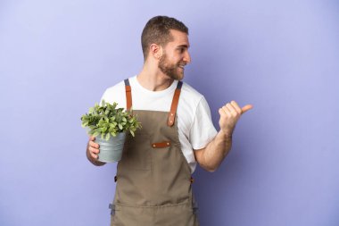 Bahçıvan beyaz bir adam sarı arka planda izole edilmiş bir bitki tutuyor. Yan tarafı göstererek bir ürün sunuyor.