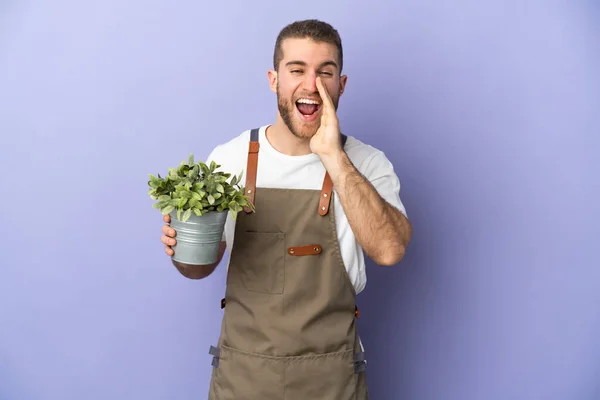 Jardineiro Caucasiano Homem Segurando Uma Planta Isolada Fundo Amarelo Gritando — Fotografia de Stock