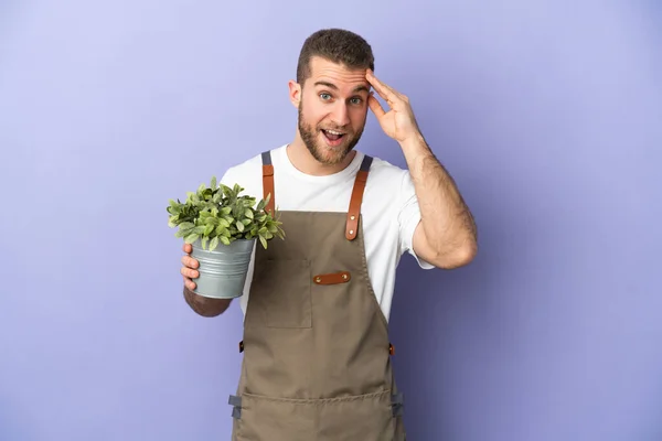 Jardinero Hombre Caucásico Sosteniendo Una Planta Aislada Sobre Fondo Amarillo —  Fotos de Stock