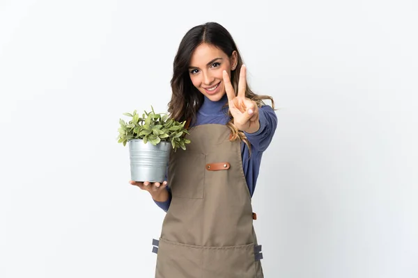 Niña Jardinero Sosteniendo Una Planta Aislada Sobre Fondo Blanco Sonriendo — Foto de Stock