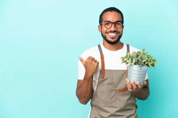 Gärtner Lateinisch Mann Hält Eine Pflanze Isoliert Auf Blauem Hintergrund — Stockfoto