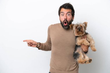 Beyaz arka planda izole edilmiş Yorkshire tutan adam şaşırmış ve işaret ediyor.