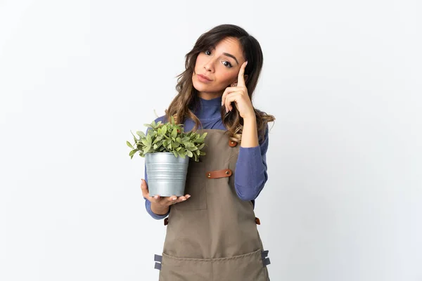 Kertész Lány Gazdaság Egy Növény Elszigetelt Fehér Háttér Gondolkodás Egy — Stock Fotó