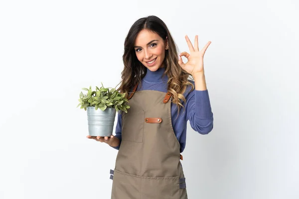 Niña Jardinero Sosteniendo Una Planta Aislada Sobre Fondo Blanco Mostrando — Foto de Stock