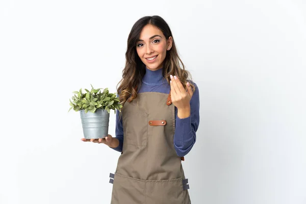 Niña Jardinero Sosteniendo Una Planta Aislada Sobre Fondo Blanco Invitando — Foto de Stock