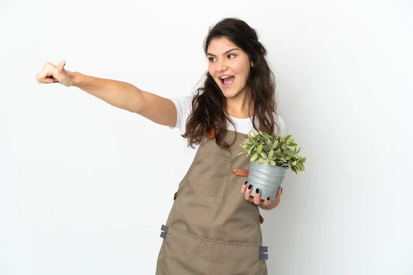 Fiatal Orosz Kertész Lány Kezében Egy Növény Elszigetelt Egy Hüvelykujj — Stock Fotó