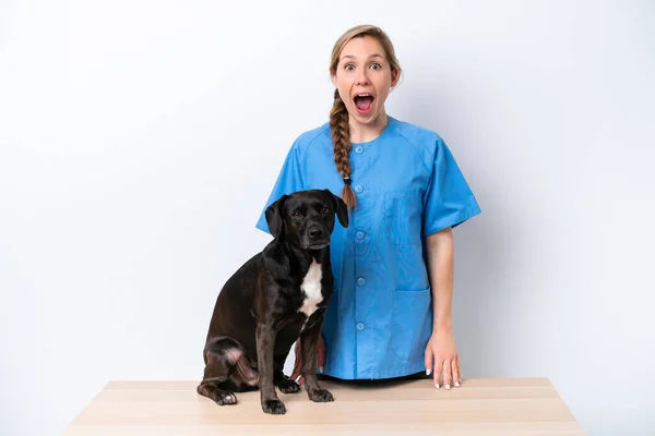 Jovem Veterinária Mulher Com Cão Isolado Fundo Branco Com Surpresa — Fotografia de Stock