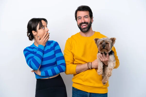 Giovane Donna Ispanica Che Tiene Cane Isolato Sfondo Bianco Con — Foto Stock