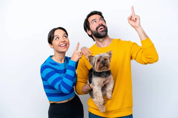 Young hispanic woman holding a dog isolated on white background pointing up with the index