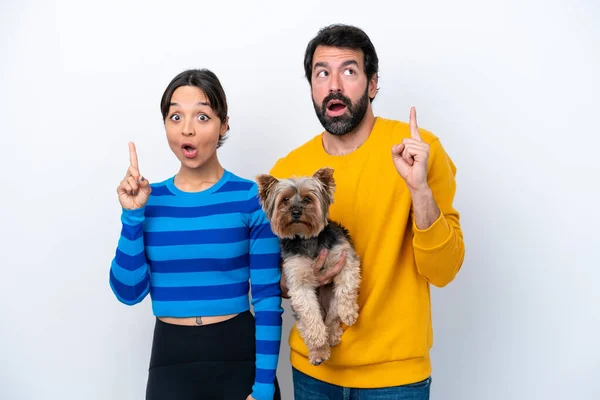 Young hispanic woman holding a dog isolated on white background intending to realizes the solution while lifting a finger up