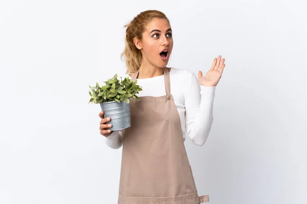 Young Blonde Gardener Woman Girl Holding Plant Isolated White Background — Stock Photo, Image