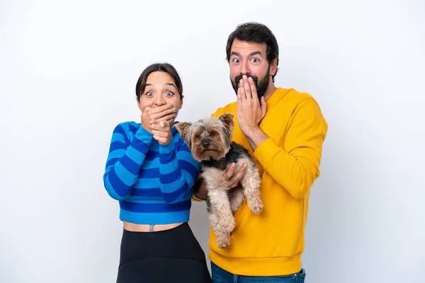 Young hispanic woman holding a dog isolated on white background pointing with finger at someone and laughing